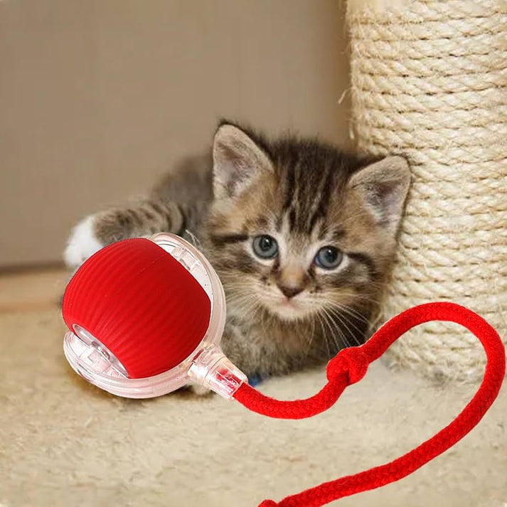 Pet Automatic Ball Toy