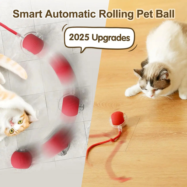 Pet Automatic Ball Toy