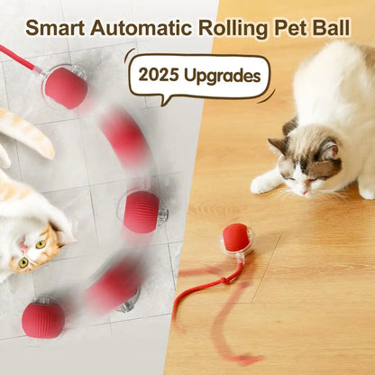 Pet Automatic Ball Toy