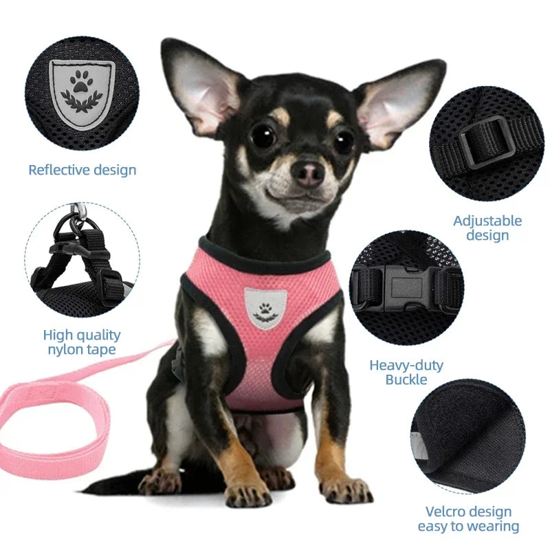 Breathable Adjustable Cat & Small Dog Harness Set
