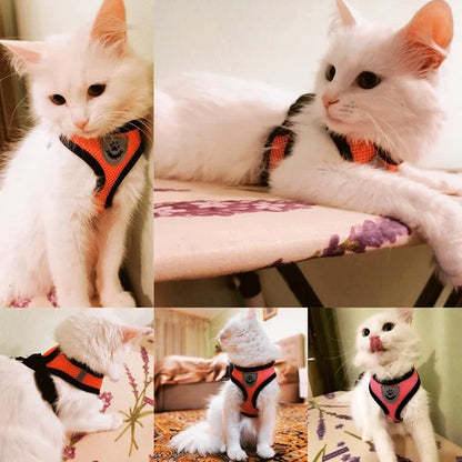 Breathable Adjustable Cat & Small Dog Harness Set