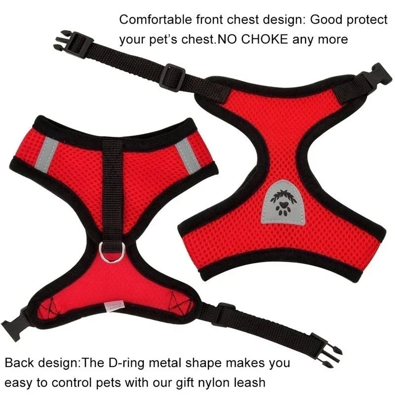 Breathable Adjustable Cat & Small Dog Harness Set