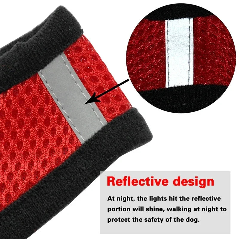 Breathable Adjustable Cat & Small Dog Harness Set