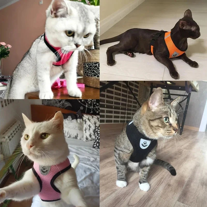 Breathable Adjustable Cat & Small Dog Harness Set