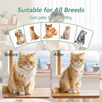 3 in-1 pet steam brush