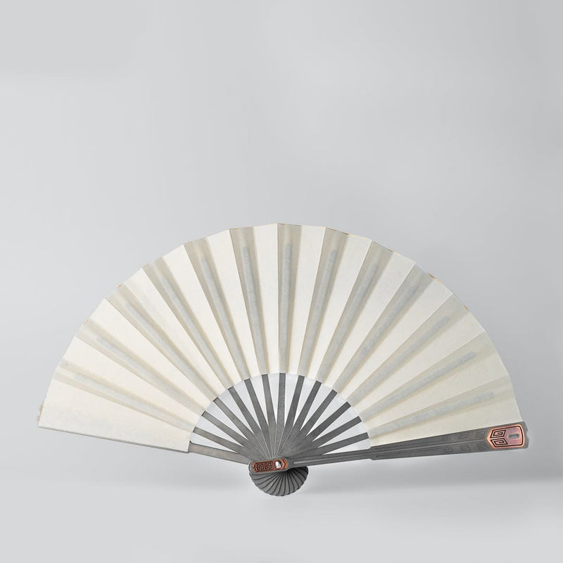 Xiaoyao Fan