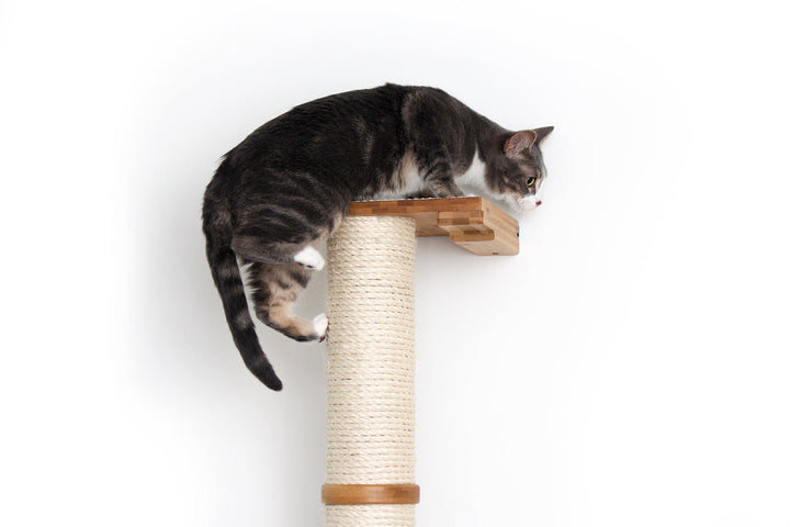 Wall Mounted Cat Scratching Post - Sisal