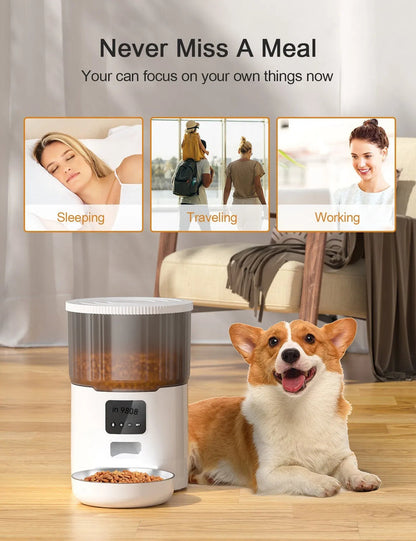 4L Smart Pet Feeder